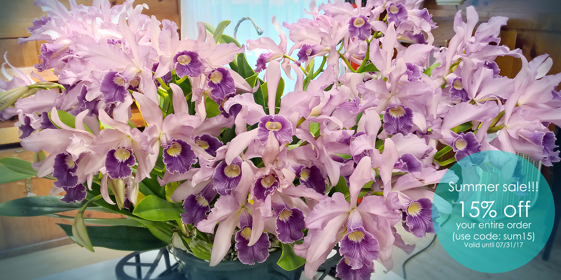 Orchidmate Orchid Supplies